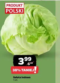 Netto Sałata lodowa oferta