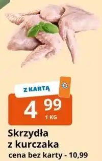 E.Leclerc Skrzydła z kurczaka oferta