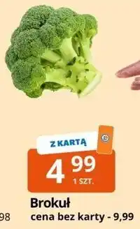 E.Leclerc Brokuł oferta