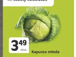 Marketvita Kapusta młoda oferta