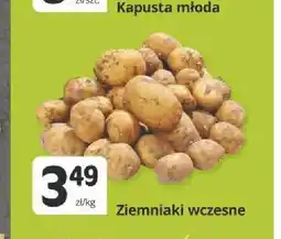 Marketvita Ziemniaki wczesne oferta