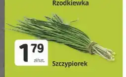 Marketvita Szczypiorek oferta