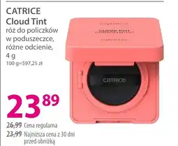 Hebe Róż do policzków Catrice oferta