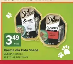 Marketvita Karma dla kota Sheba Sauce Collection oferta