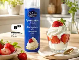 Netto Bita śmietana Paradiso oferta