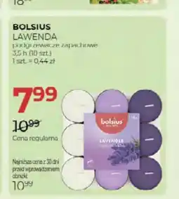 Jawa Drogerie Podgrzewacze zapachowe Bolsius Lawenda oferta