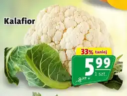 Prim Market Kalafior oferta