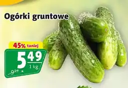 Prim Market Ogórki gruntowe oferta