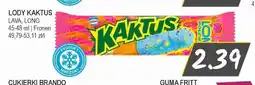 Słoneczko Lody Kaktus Lava oferta