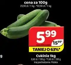 Delfin Cukinia Polska oferta