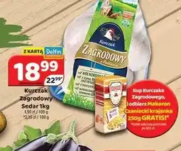 Delfin Kurczak Zagrodowy z Podlasia oferta