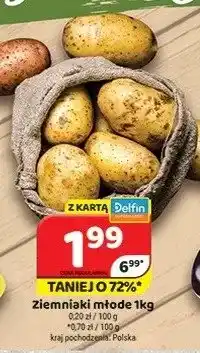 Delfin Ziemniaki młode Polska oferta