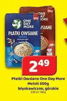 Delfin Płatki Owsiane One Day More Melvit błyskawiczne oferta