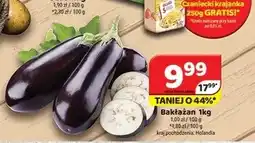 Delfin Bakłażan Holandia oferta