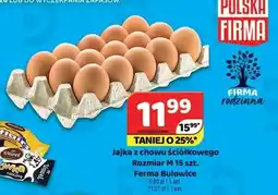 Delfin Jajka z chowu ściółkowego Ferma Bulowice Rozmiar M oferta