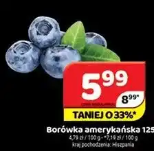 Delfin Borówka amerykańska Hiszpania oferta