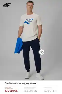 4F Spodnie dresowe joggery męskie 4F oferta