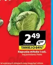 Delfin Kapusta młoda Polska oferta