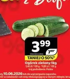 Delfin Ogórek zielony Polska oferta