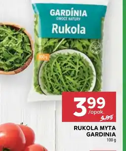 Stokrotka Market Rukola Gardinia oferta