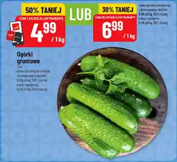 Polomarket Ogórki gruntowe oferta
