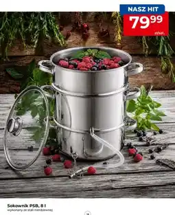 Mrówka Sokownik PSB oferta