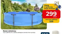 Mrówka Basen stelażowy oferta