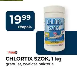 Mrówka Chlor do basenu Chlortix Szok Provas oferta