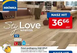 Mrówka Panel podłogowy Swiss Krono Dąb Split 8 mm AC5 oferta