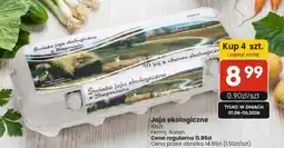 Market Point Jaja ekologiczne Fermy Baran 10-pak oferta