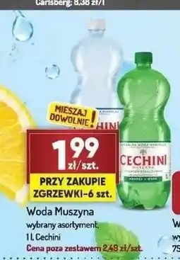 Avita Woda Muszyna Cechini oferta