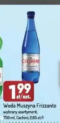 Avita Woda Muszyna Frizzante Cechini oferta