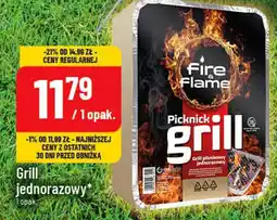 Polomarket Grill jednorazowy Picknick grill Fire & Flame oferta