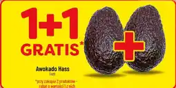 Polomarket Awokado Hass oferta