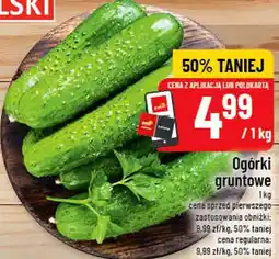 Polomarket Ogórki gruntowe oferta