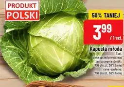 Polomarket Kapusta młoda oferta