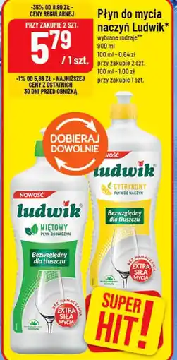 Polomarket Płyn do mycia naczyń Ludwik oferta
