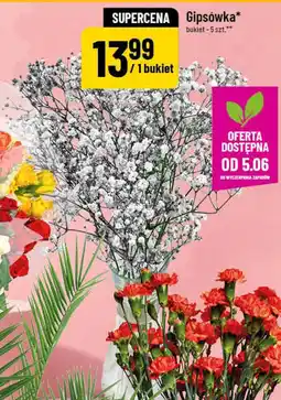 Polomarket Gipsówka bukiet oferta