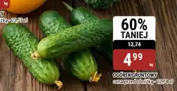 bi1 Ogórek gruntowy oferta