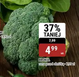 bi1 Brokuł oferta