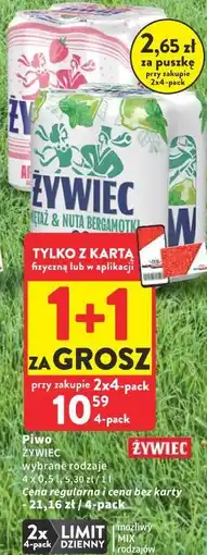 Intermarche Piwo Żywiec oferta