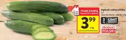 Intermarche Ogórek szklarniowy oferta