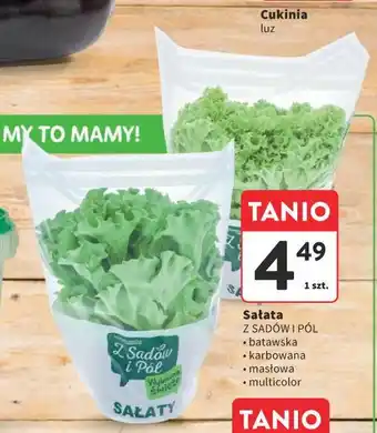 Intermarche Sałata Z SADÓW I PÓL oferta