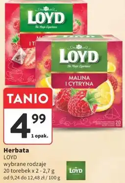 Intermarche Loyd Herbata oferta