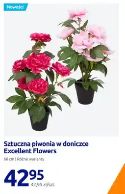 Action Sztuczna piwonia w doniczce Excellent Flowers 60 cm oferta