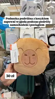 Pepco Poduszka podróżna z kocykiem Pepco Travel oferta