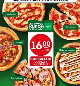 Żabka Pizza Hot Pizza Margherita oferta