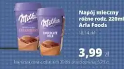 Torimpex Milka Napój mleczny oferta