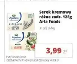 Torimpex Apetina Serek kremowy oferta