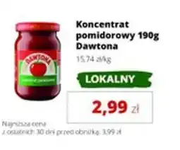 Torimpex Dawtona Koncentrat pomidorowy oferta